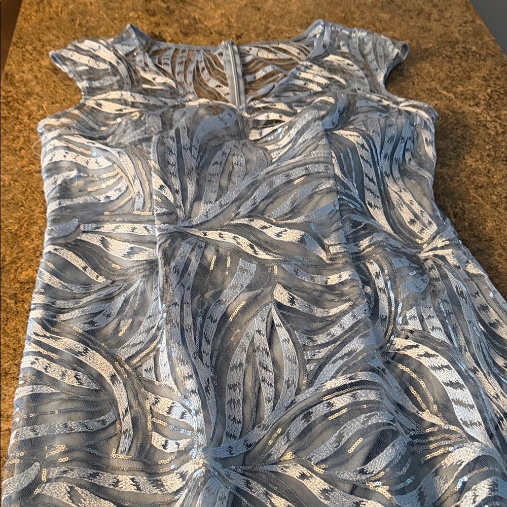 Alex Evenings Shimmering Silver and Blue Dress